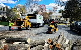 Best Tree Preservation Services  in Woodbine, NJ