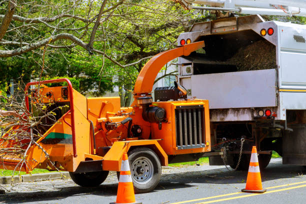 Tree and Shrub Care in Woodbine, NJ